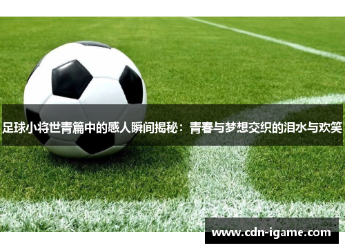 足球小将世青篇中的感人瞬间揭秘：青春与梦想交织的泪水与欢笑