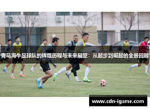 青岛海牛足球队的辉煌历程与未来展望：从起步到崛起的全景回顾