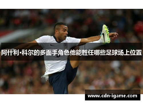 阿什利·科尔的多面手角色他能胜任哪些足球场上位置 阿什利·科尔的多面手角色他能胜任哪些足球场上位置